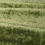 Terciopelo Curzon Zoffany Deep Fern ZL5X333426