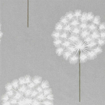 Amity wallpaper