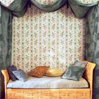 Papaver Stripe Wallpaper