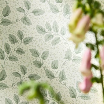 Papel pintado Tomato Leaf