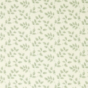 Carta da parati Tomato Leaf