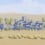 Todra panoramic wallpaper Jannelli & Volpi Light blue 41600