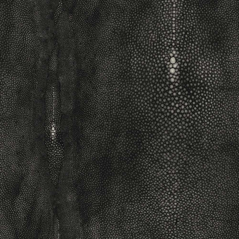 Papel pintado Précieux