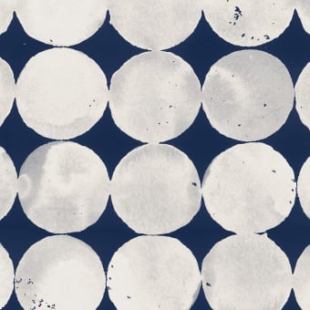 Papel pintado Lunar Craters