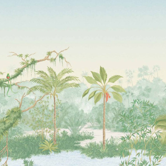 Borneo panoramic wallpaper