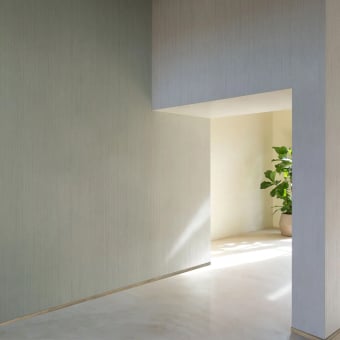 Concreed wall covering