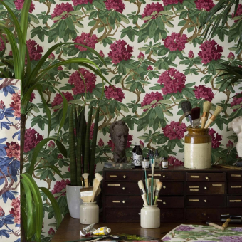 Bourlie Wallpaper Bourlie Wallpaper