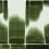 Papier peint Fusion Mindthegap Moss WP30233