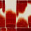 Papier peint Fusion Mindthegap Scarlet WP30234