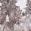 Tapete The Equatorial Jungle Rebel Walls Soft R20576