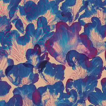 Corals Panel