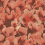 Carta da parati panoramica Corals Rebel Walls Red R19822