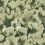 Carta da parati panoramica Corals Rebel Walls Green R19823