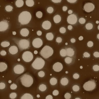 Panorama-Tapete Spotted Puffer