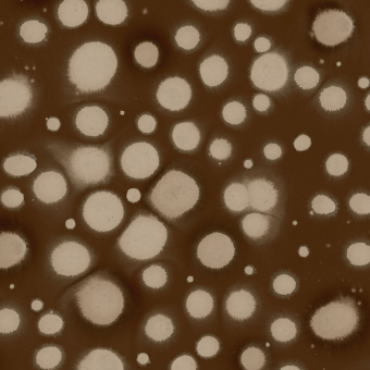Spotted Puffer Panoramic Wallpaper