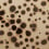Papier peint panoramique Spotted Puffer Rebel Walls Animal R19825