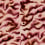 Guppy panoramic wallpaper Rebel Walls Red R19827