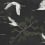 Majestic Cranes Wallpaper Rebel Walls Black R20336