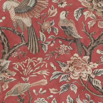 Wings in Bloom Wallpaper