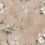 Carta da parati Poetic Flora Rebel Walls Dusty Pink R20985