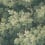 Papier peint Vintage Foliage Rebel Walls Green R21353
