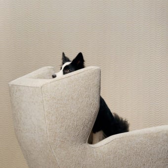 Ola fabric