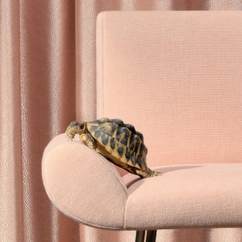 Tissu Sherlock