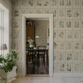 Papel pintado Botanica