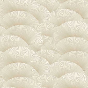 Morning Shell Tapete