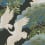 Tapete Sprig and Heron York Wallcoverings Black AF6593