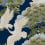 Tapete Sprig and Heron York Wallcoverings Navy ZA8007