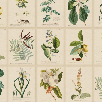 置物  scope Art Flora Flora Panel - Sandberg