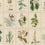 Flora Panel Sandberg Green S10598