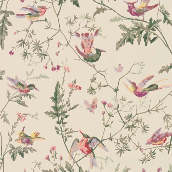 Carta da parati Hummingbirds