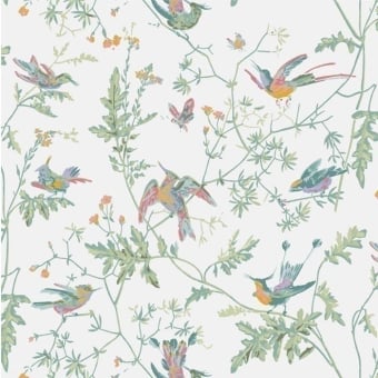 Papel pintado Hummingbirds