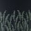 Feather Grass Wallpaper Farrow and Ball Noir BP5106