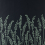 Tapete Feather Grass Farrow and Ball Noir BP5106