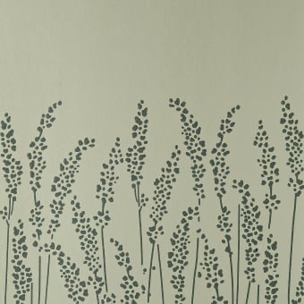 Feather Grass Wallpaper