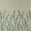 Feather Grass Wallpaper Farrow and Ball Ficelle BP5105