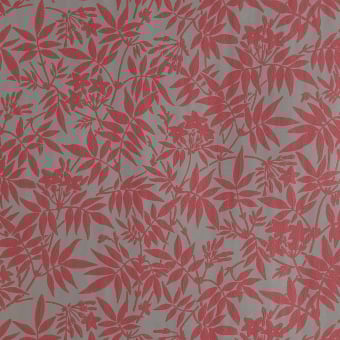 Jasmine Wallpaper