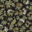 Tapete Peacock Estate York Wallcoverings Black MX9662