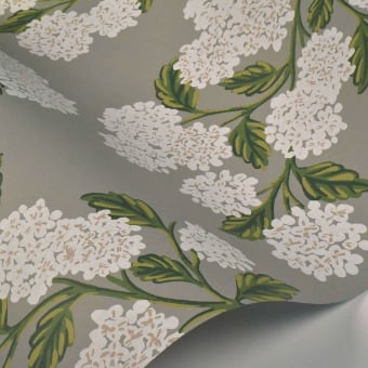 Hydrangea Wallpaper