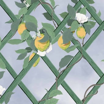 Carta da parati Trellis