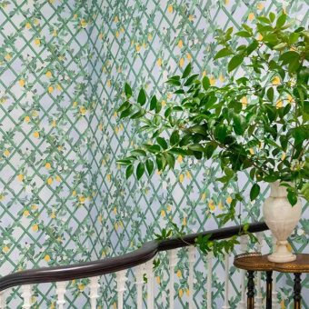 Papel pintado Celosía