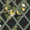 Lattice Wallpaper Isidore Leroy Nuit 6263900