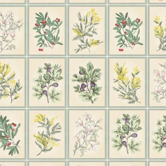 Papier peint Herbier