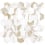 Hexagon 48 Mosaic Dhoorse Calacatta Beige RGHX4804