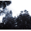 Palermo Black and white Panel Bien Fait 360x280 cm - 6 lés /BF-PAL-REG-6L
