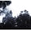 Panoramatapete Palermo Black and White Bien Fait 360x280 cm - 6 lés /BF-PAL-REG-6L