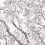 Papier peint panoramique Arbres Isidore Leroy Chêne 6265500